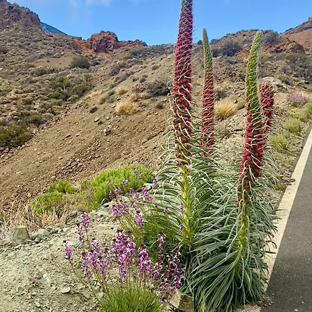 Veronicas Appartement